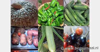 Succesvolle proeven met biologische producten in Marokkaanse regio Brachoua