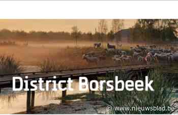 Borsbeek voegt zich online al bij Antwerpen: “Welkom in het district”