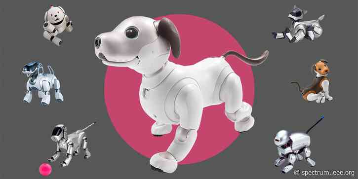 Zen and the Art of Aibo Engineering