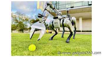 Robots Learn New Skills to Tackle Real-World Tasks with WildLMa Framework
