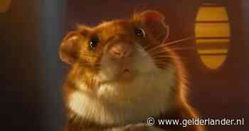 Dit is de kerstcommercial van 2024: ‘Deze kan je niet onberoerd laten’