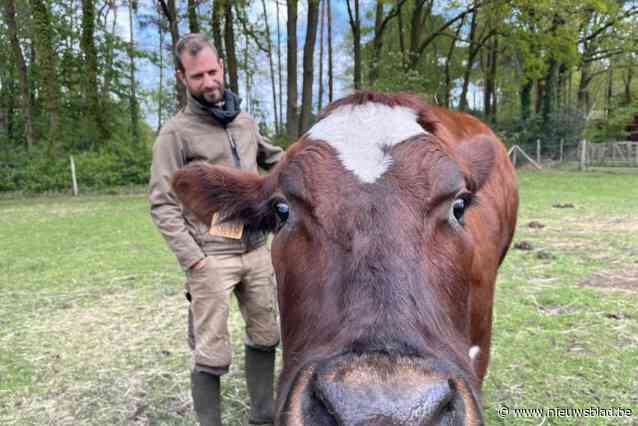 Startend biolandbouwer wordt direct afgestraft door Vlaanderen: “Subsidie-inhouding van zes hectare omdat ik twee hectare te veel zou hebben ingediend”