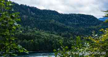 Wälder, Küsten, Moore: Wo es in Deutschland noch echte Wildnis gibt