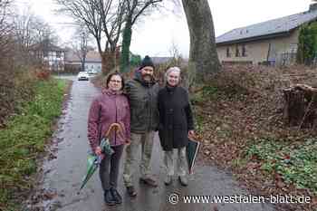 Borgentreich: Anwohner und Grüne wollen vier Bäume am Hohlweg retten