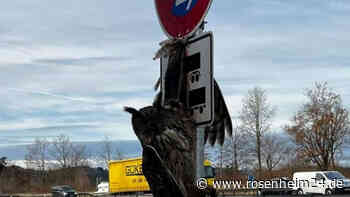 „Viel Blut verloren“: So haben Feuerwehr und Tierarzt das Uhu-Drama von Bernau erlebt