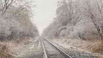 Derailed train closes Highway 16 north of the Trans-Canada in Manitoba
