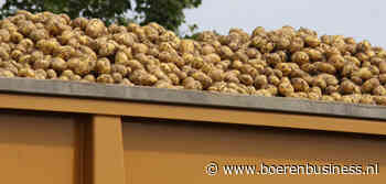 Aflandpool Aviko profiteert van hoge zomerprijzen