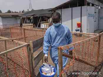 "Non escluso mix di più patologie". Le ipotesi sulla malattia in Congo