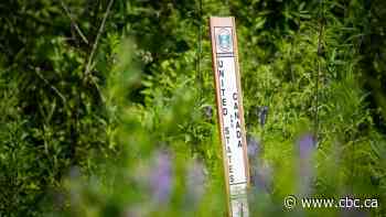 Federal government considering spending $1 billion on border security: sources