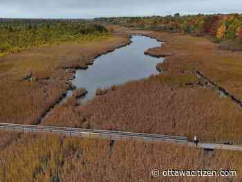 Rubin: Designating the National Capital Greenbelt a 'national urban park' would be great. So why don't we know more about it?