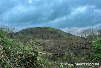 Waarom in Luik wel warm mijnwater huizen kan verwarmen en in Limburg (nog) niet