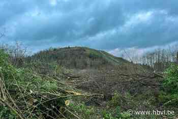Waarom in Luik wel warm mijnwater huizen kan verwarmen en in Limburg (nog) niet
