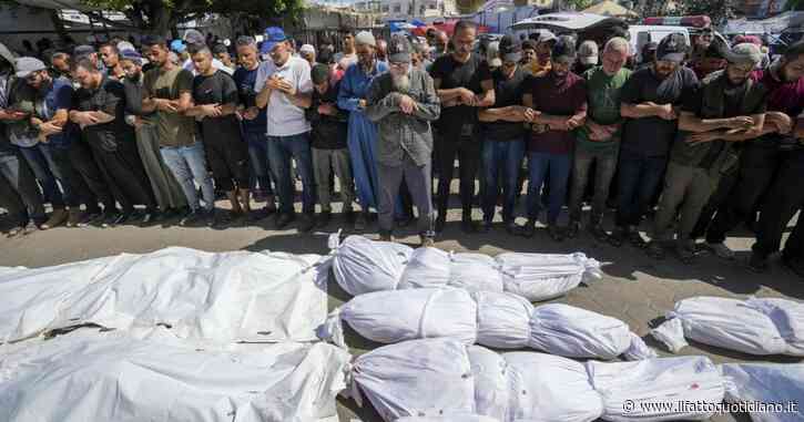 “A Gaza in atto un genocidio. Se non lo riconoscete, chiamatelo sterminio di massa”: lettera aperta a Liliana Segre e Edith Bruck