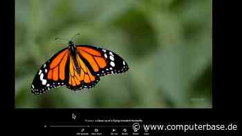 Generativer KI-Videogenerator: OpenAI veröffentlicht Text-zu-Video-System Sora