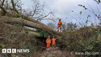 Thousands still without power after Storm Darragh