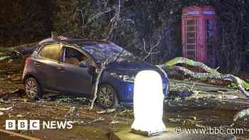96mph gust recorded at height of Storm Darragh
