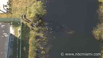 Person hospitalized after vehicle ends up in canal in southwest Miami-Dade