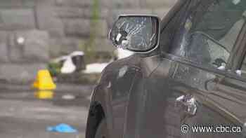 Police ID man shot dead in Brampton driveway