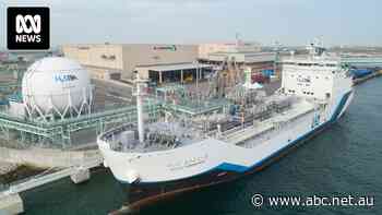 Bid to turn Latrobe Valley's coal into hydrogen hits major roadblock