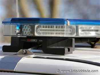 Toledo police find man's body in field