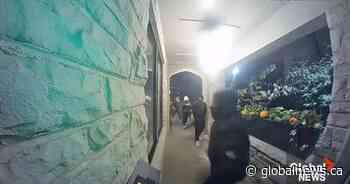 ‘They were beating me’: Homeowners recount terrifying Ontario break-in