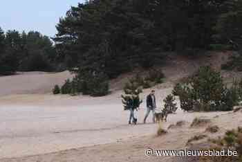 Wil je wandelen én je voeten droog houden? Trek dan deze Limburgse woestijn in