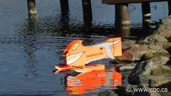 Take a gander at how the Goosinator is herding geese in Lethbridge