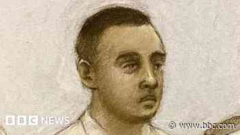 Criminology student murdered woman on beach, court told