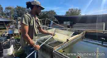 FEMA sets up resource center for farmers in Polk County