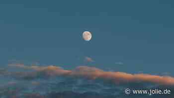 Horoskop heute: Dein Tageshoroskop am 10. Dezember 2024