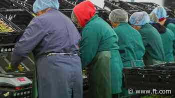 Economists need to get their story straight on immigration