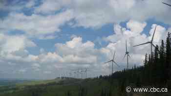 B.C. announces 9 new wind projects to power equivalent of 500,000 homes