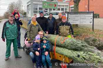 Grünenberg-Stiftung lädt zum Weihnachtsbaumverkauf in Ottbergen ein