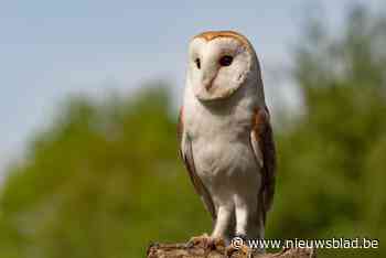 Fotoclub Flits80 toont selectie van werken op 42ste fotosalon