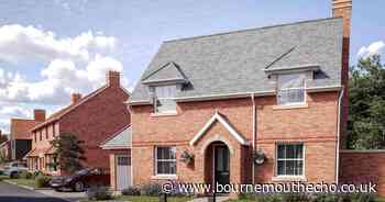 Development of 46 homes set to be built in New Forest