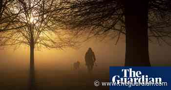 Exercising for 30 minutes improves memory, study suggests