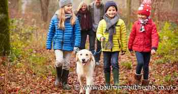 Pet health expert warns of seven dangers to your dog this winter