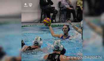 Succes voor GZC DONK: Overwinningen in eredivisie en beker