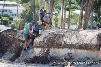 City and state collaborate to improve Kailua Beach Park
