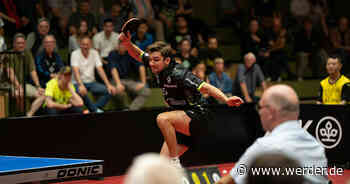 Nicht viel Zeit zum Verdauen