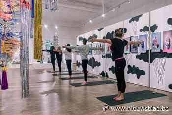 In dit museum kan je yogales volgen: “Boodschap van de expo matcht met de essentie van yoga”