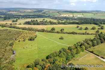 Farm launches initiative to give new entrant their 'first big break'