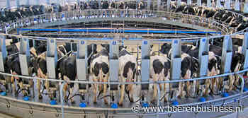 Stijgende melkprijs stuwt Poolse melkaanvoer