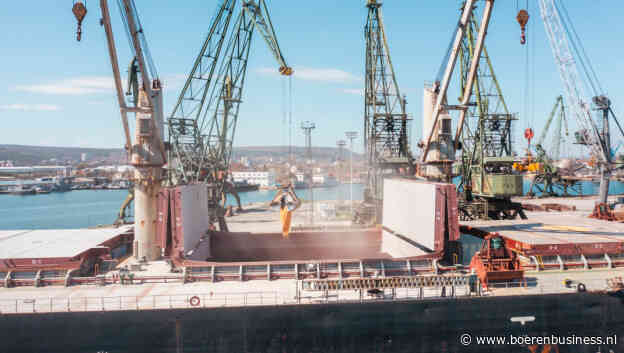 Egypte staat voor grote wijziging bij inkoop graan