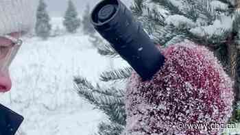 Holiday decorating? Experts say to check for these invasive pests first