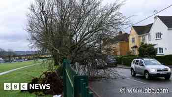 Warning of more days without power after storm