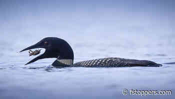 Stop Avoiding High ISO and Start Using It to Your Advantage