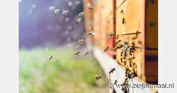 Informatieavond voor biodynamische boeren en imkers op biodynamische bedrijven