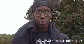 Killer, 18, was arrested 90 minutes after he stabbed 15-year-old girl to death