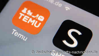 Plagiate bei Temu: "Das ist schon ziemlich dreist!" - Produktpiraten bedrohen Wirtschaft